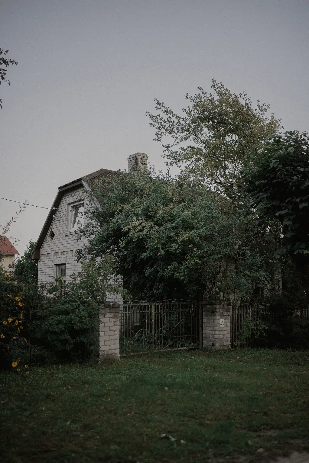 Overgrown yard and neglected exterior of a vacant Florida home