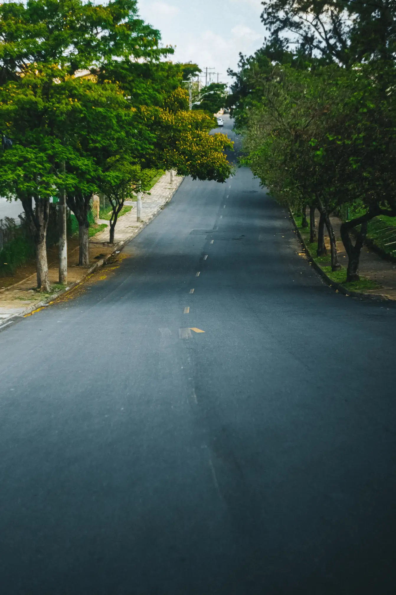 Quiet residential neighborhood in Estero Florida