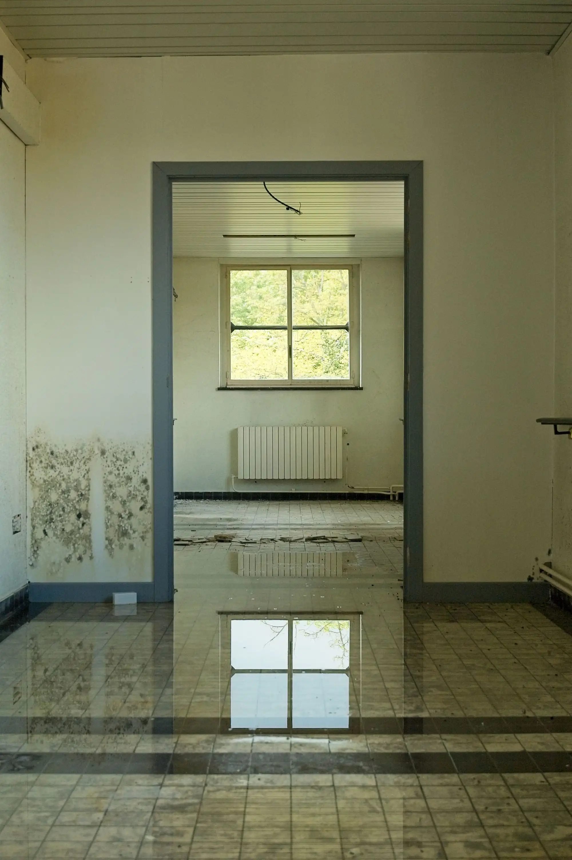 Florida property with interior drywall removed after storm surge flooding