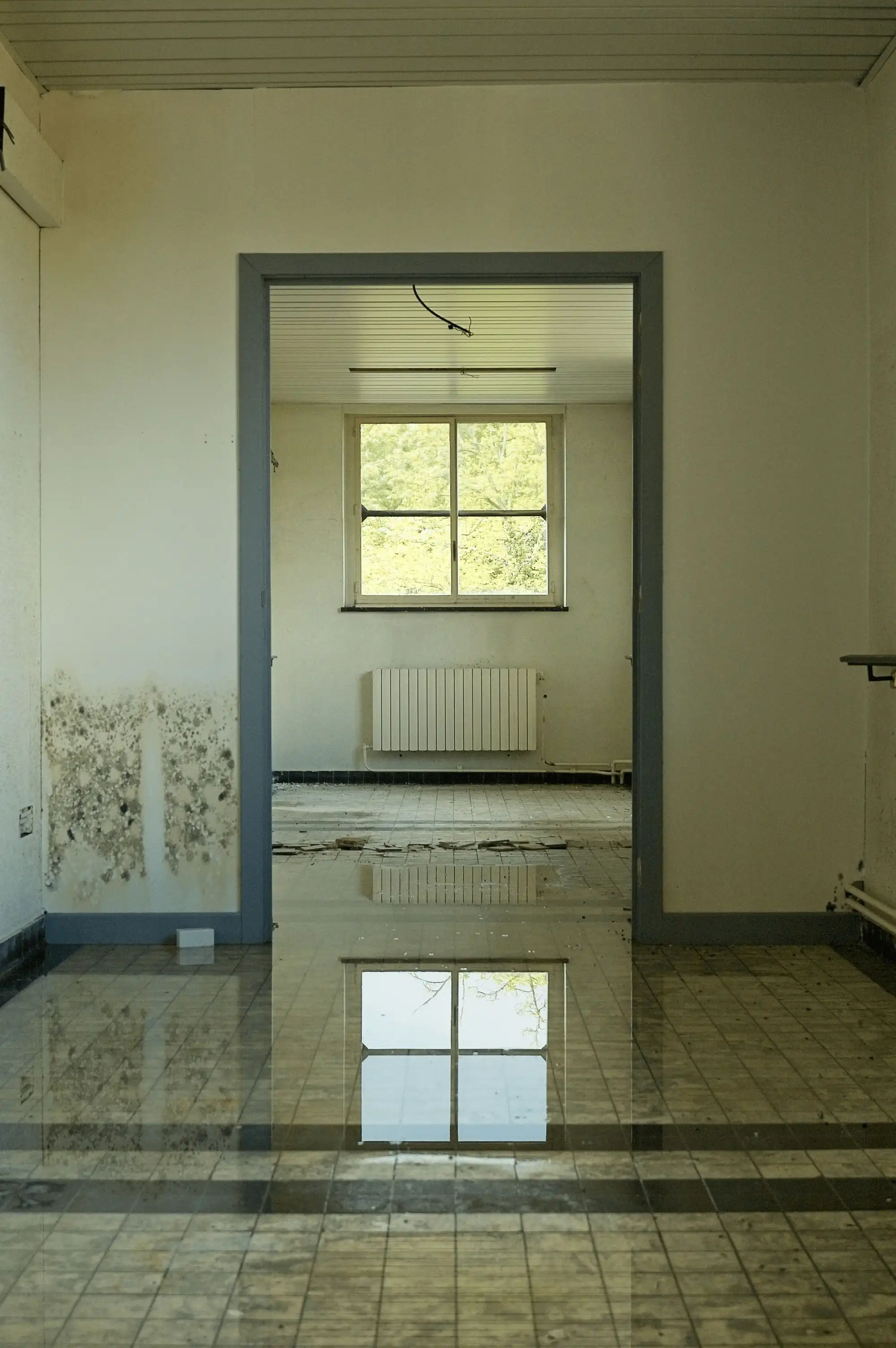 Assessing water damage and ruined flooring in a Tampa Bay home after a severe hurricane
