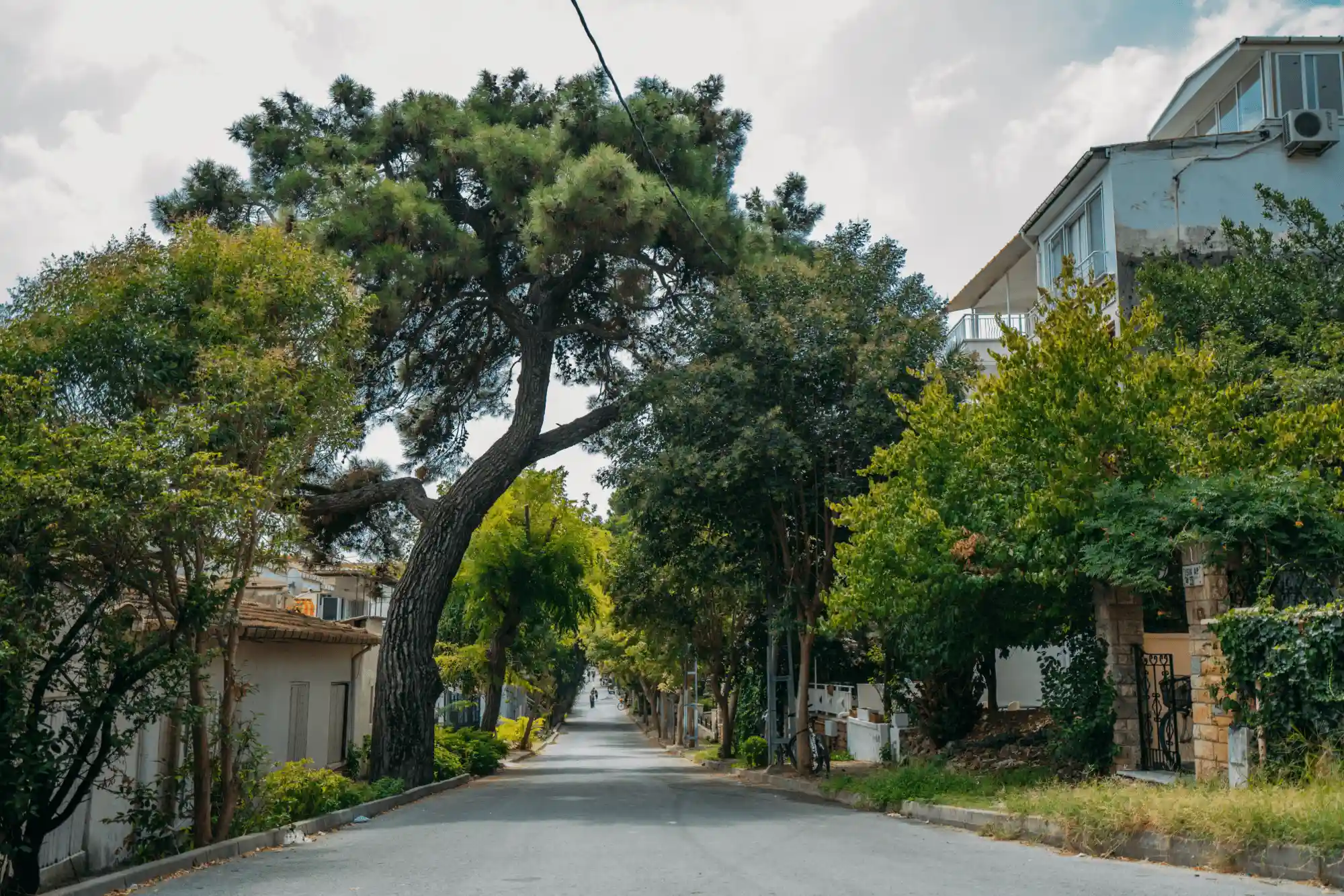 local neighborhood in oklahoma city