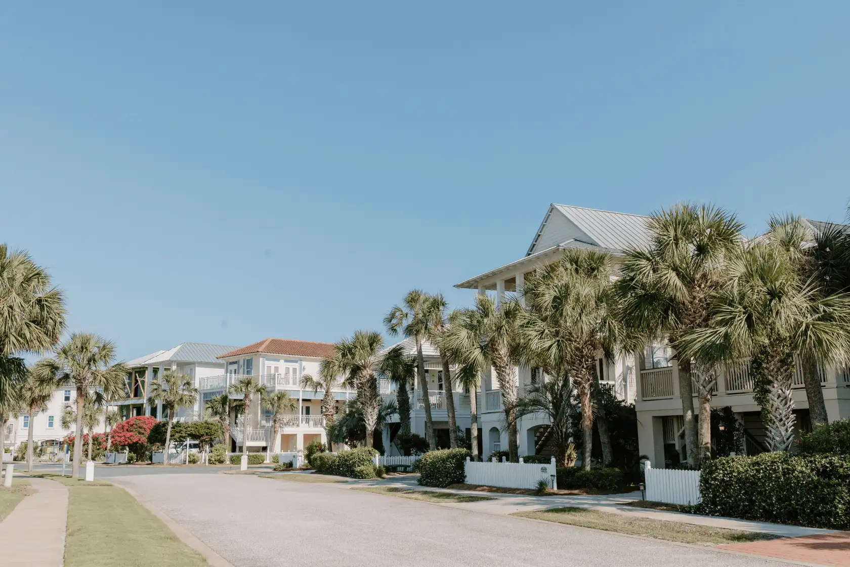 Residential street with palm trees in Punta Gorda, Charlotte County, Florida