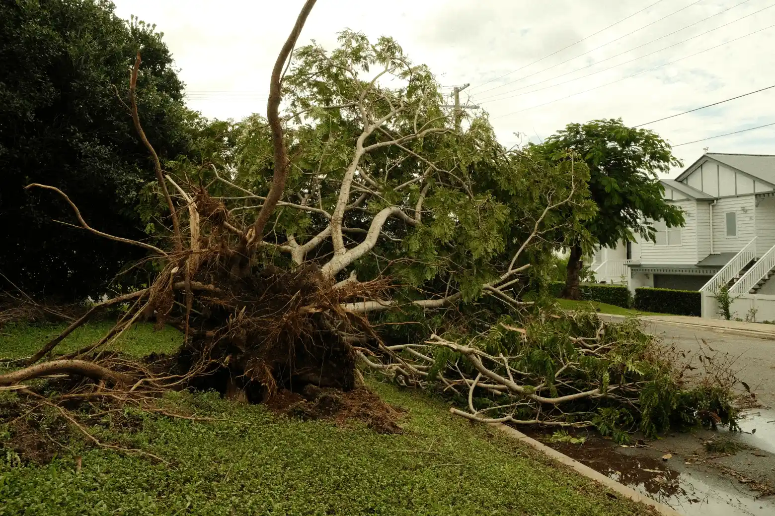 Florida home exterior showing roof and storm damage in Port Charlotte