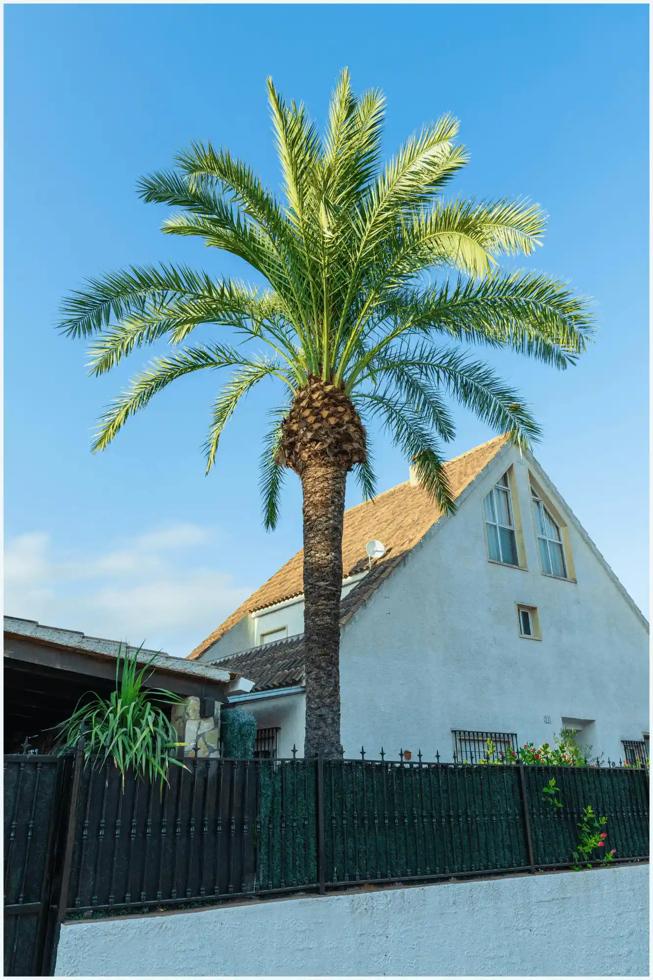 A stress-free real estate closing for an inherited property in Florida