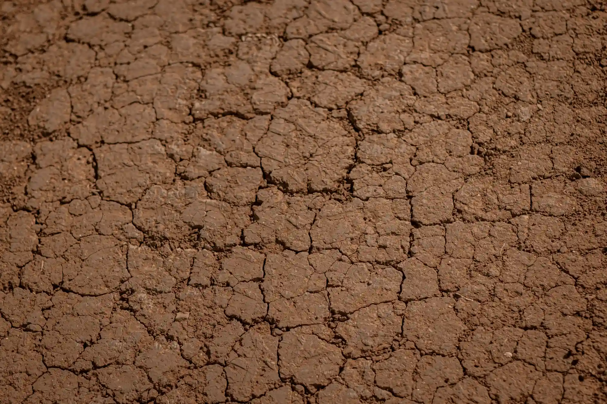 Close up of dry, cracked Oklahoma red clay soil expanding and contracting