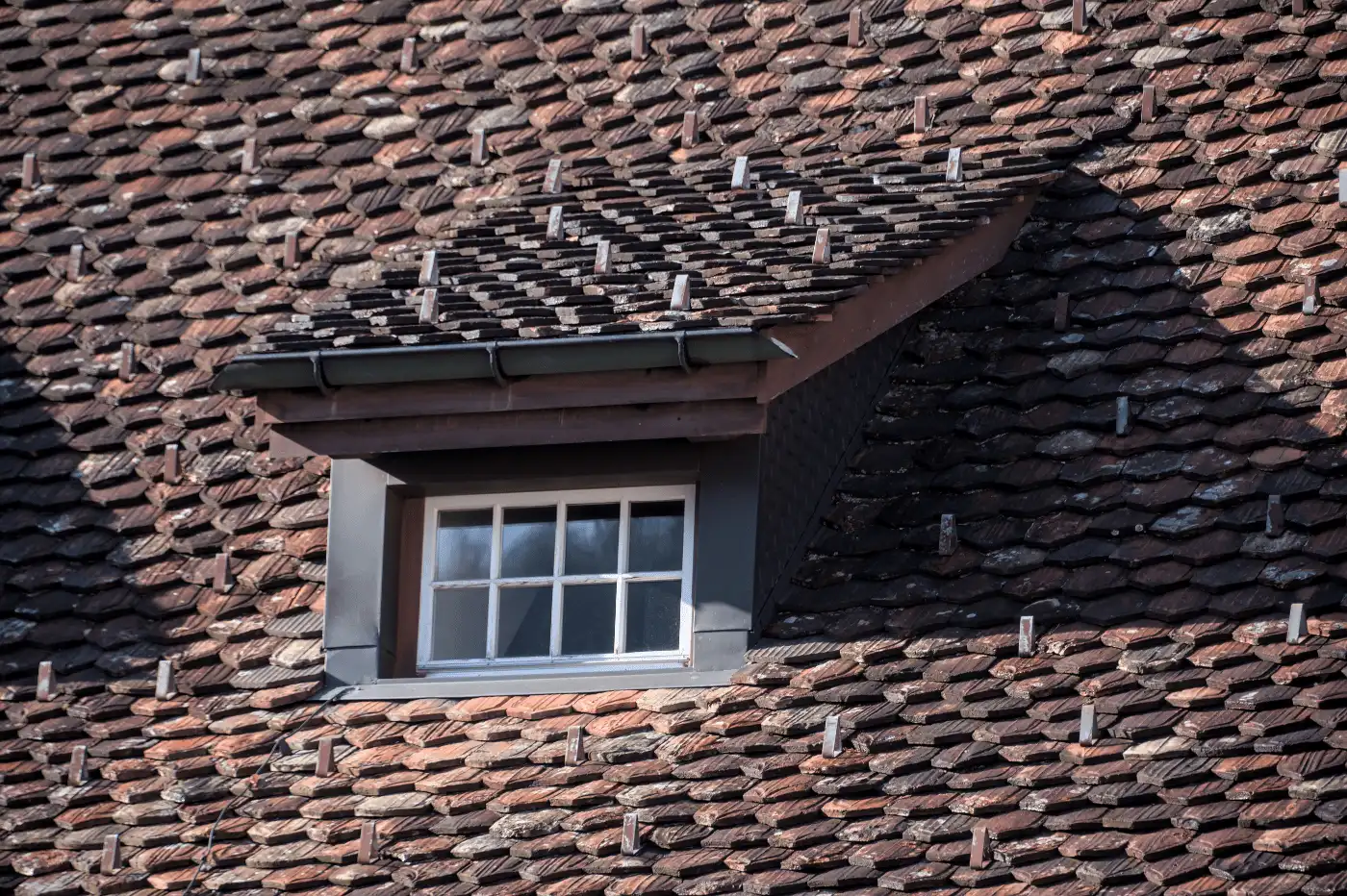 Older asphalt shingle roof on a Florida home facing insurance denial
